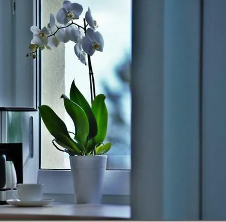 Cozy Base Apartment Danzig