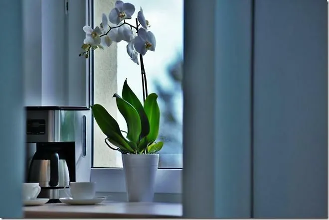 Cozy Base Appartement Gdańsk